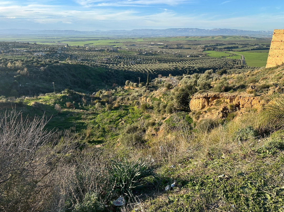 Verger des Montagnes主图