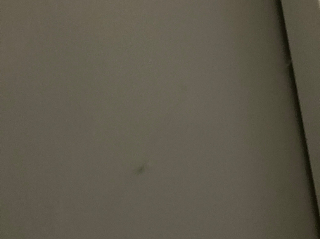 Hassop Station Rooms主图