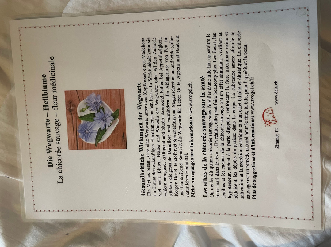 Aparthotel Dala Leukerbad主图