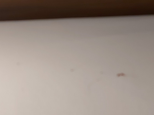 Sporthotel & Resort Grafenwald Daun Vulkaneifel主图