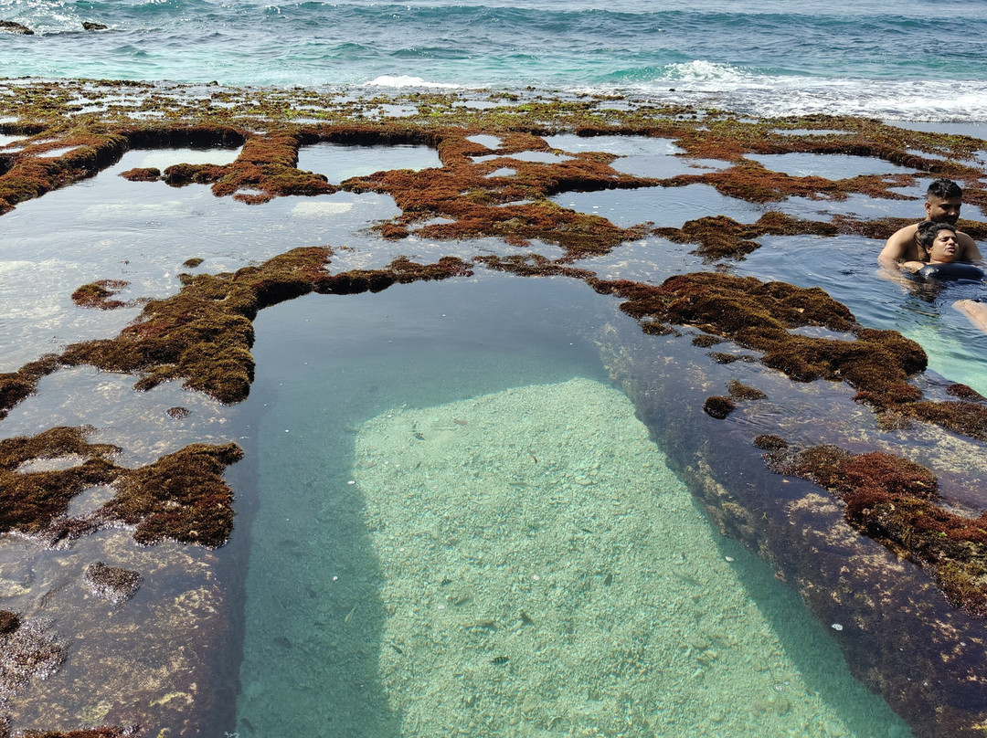 Sri Lankan Safe Tours-Kirindiwela必去景点