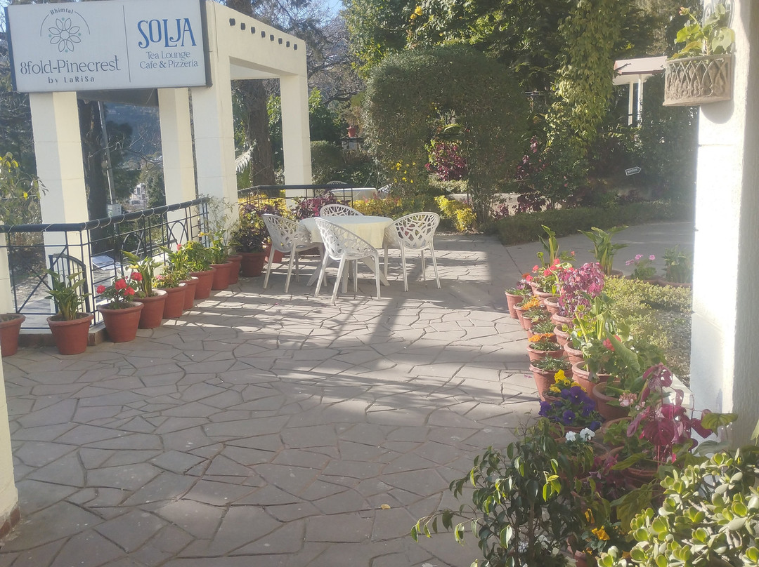 8fold-pinecrest By Larisa, Bhimtal主图