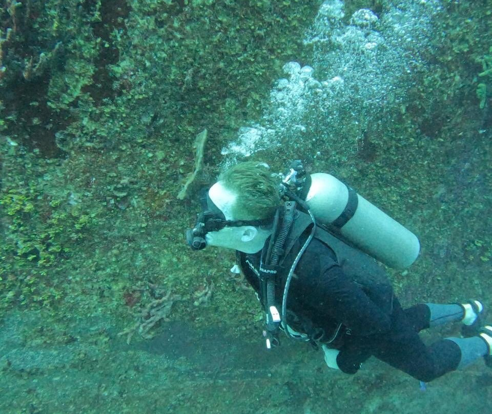 King Scuba Dive Center-从莫雷洛斯港必去景点