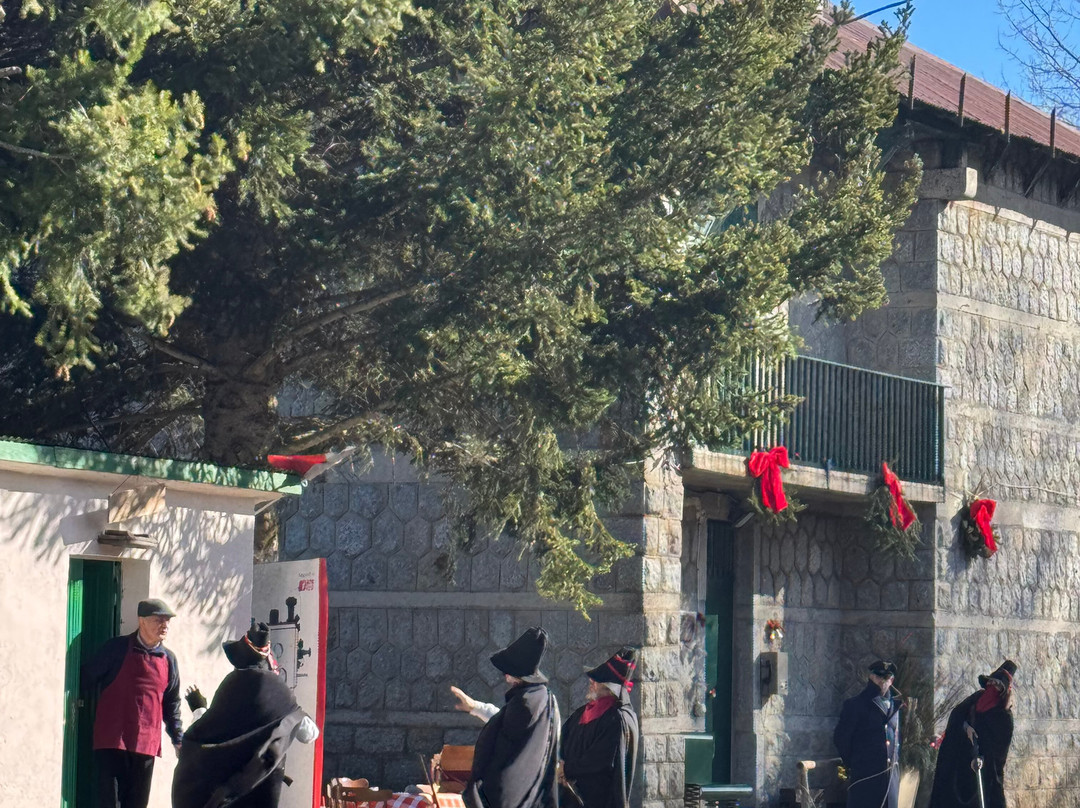 Treno della Sila-Camigliatello Silano必去景点