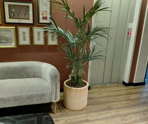 伦纳萨酒店主图