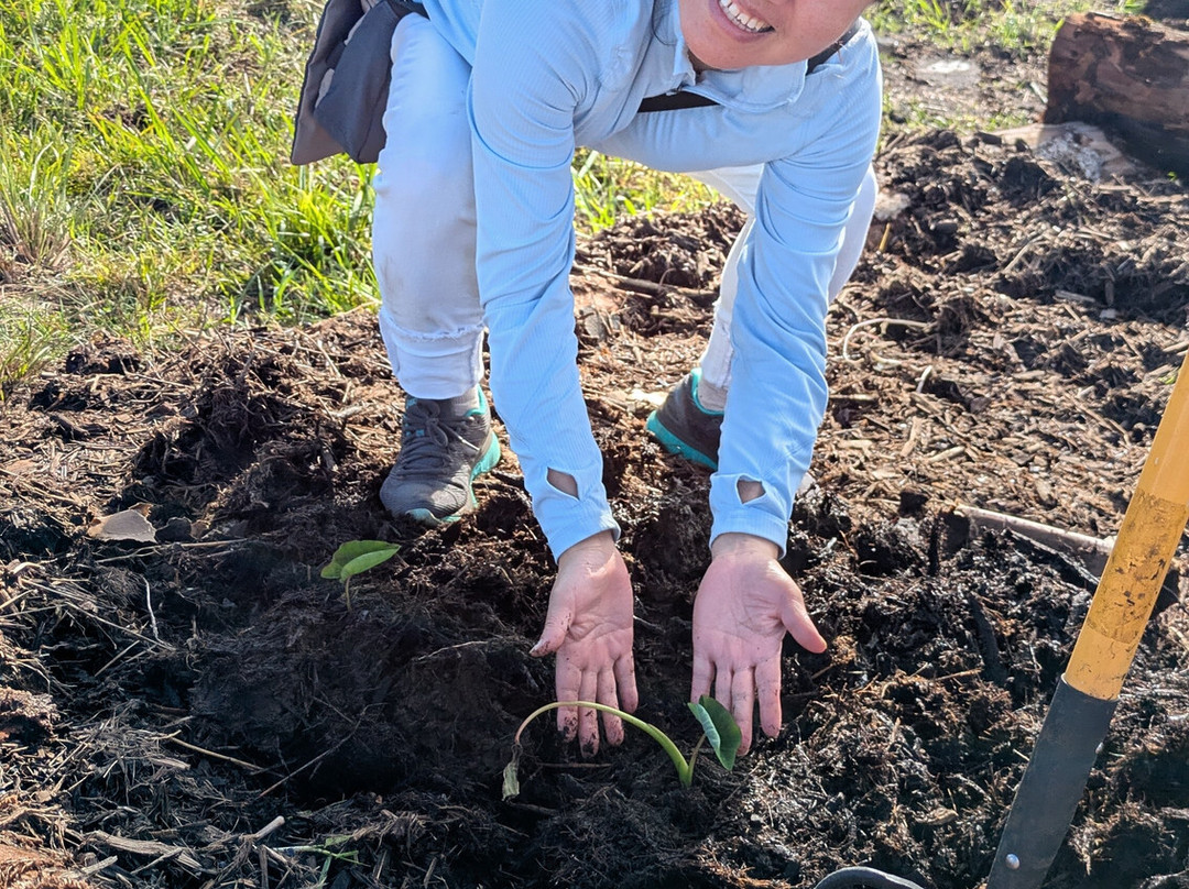 Ohana Ranch-山景城必去景点