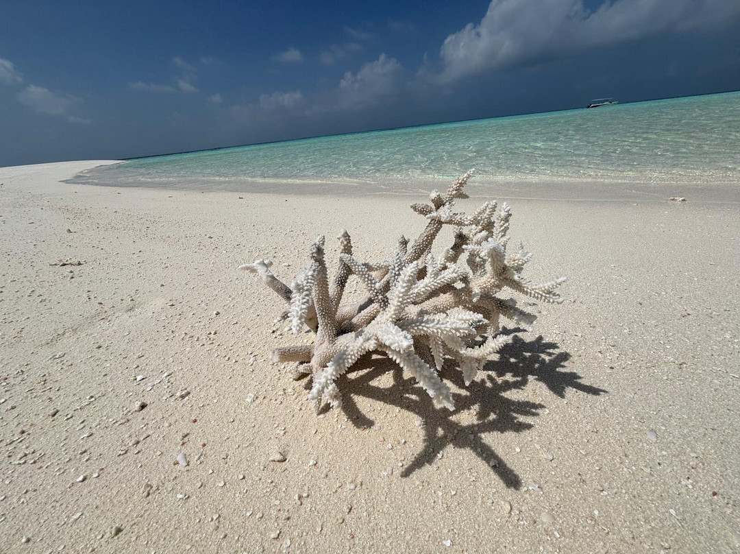 Local Travel Beach主图