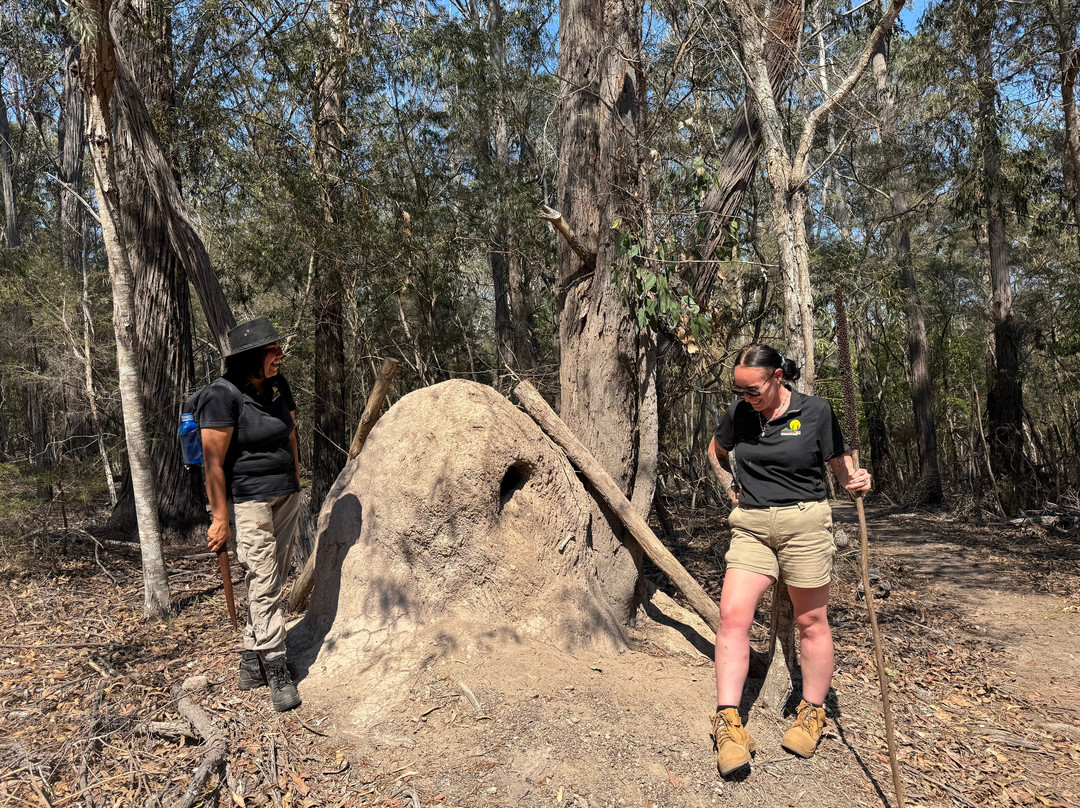 Bilbaan Cultural Experience-Broadwater必去景点