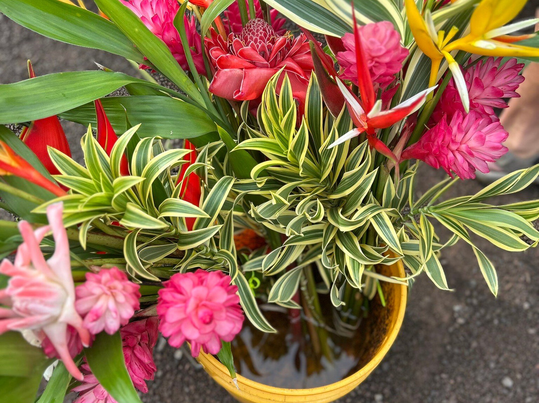 Hanalei Farmer’s Market-哈纳雷伊必去景点