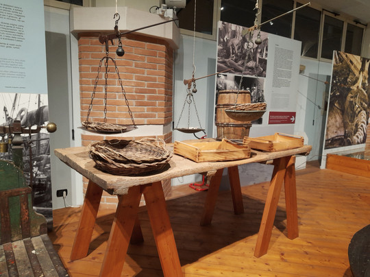 Museo della Marineria-切塞纳蒂科必去景点