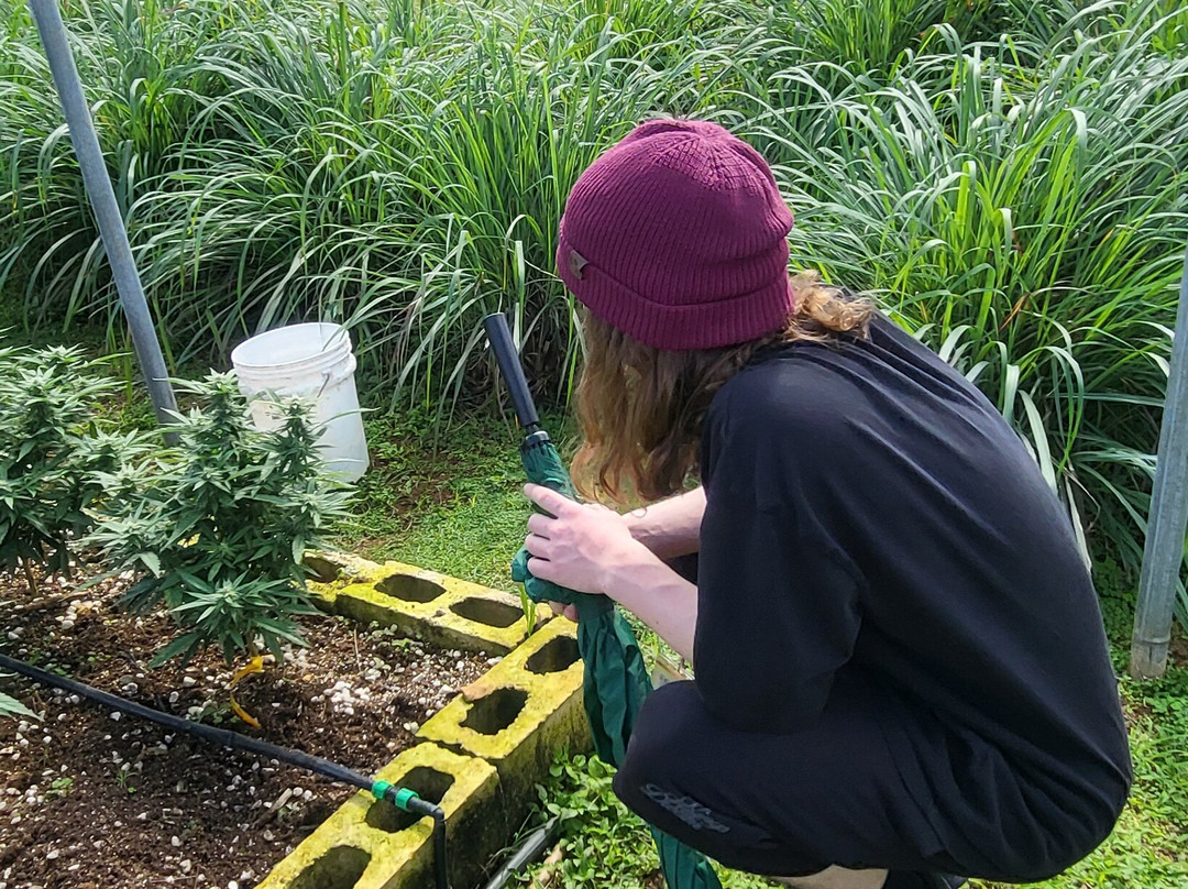 Jacana Farm Tours-奥乔里奥斯必去景点
