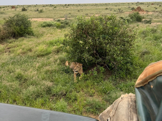 Escursioni Safari Kenya-瓦塔木必去景点