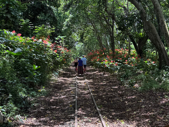 Ecotrax Fiji-辛加东卡必去景点