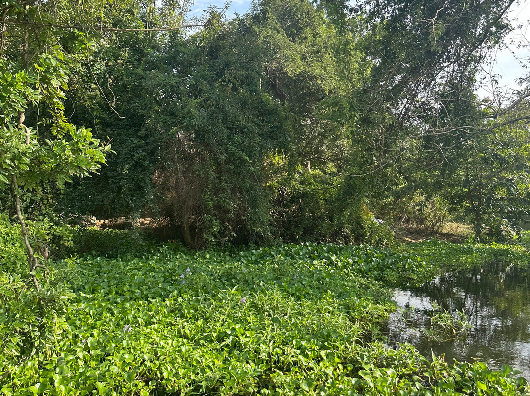 Exotic Island Tours - Private Driver Sri Lanka-Ganemulla必去景点