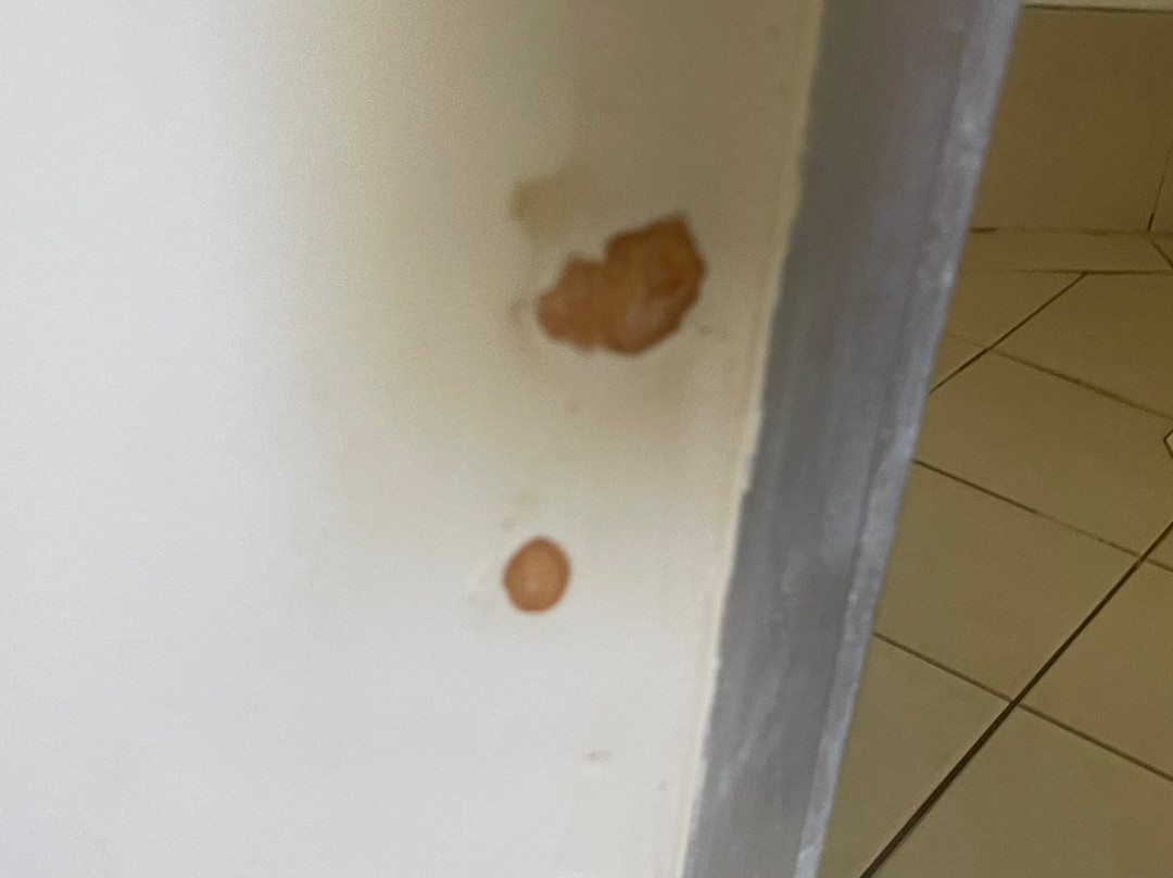 尖峰石林度假酒店主图