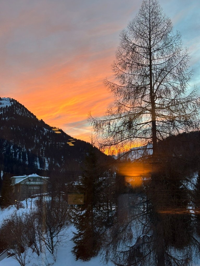 Hotel Schwarzer Adler-官方