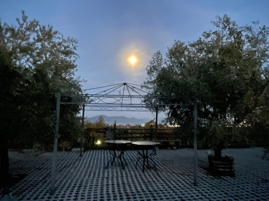 Tenuta Sorrentino Winery-Boscotrecase必去景点