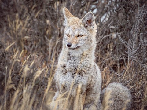 Wild Frames Chile-纳塔莱斯港必去景点