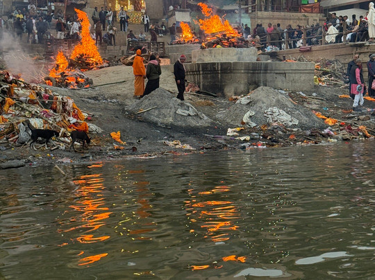 Hotel Dolphin Grand主图