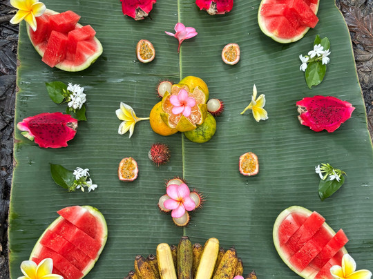 Sumatra Orangutan Explore-武吉拉旺必去景点