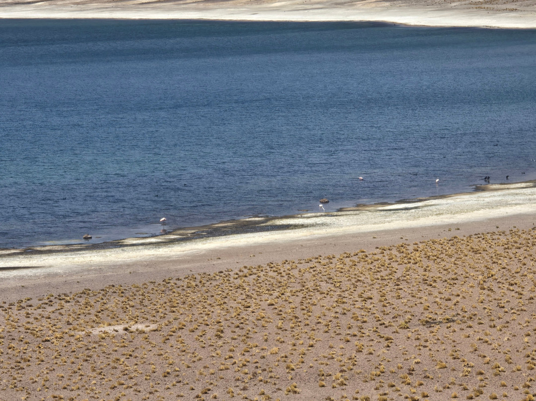 Machuca-圣佩德罗-德阿塔卡马必去景点