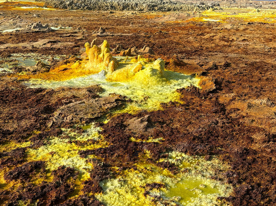 Ethio Wildlife Tours-Dalol必去景点