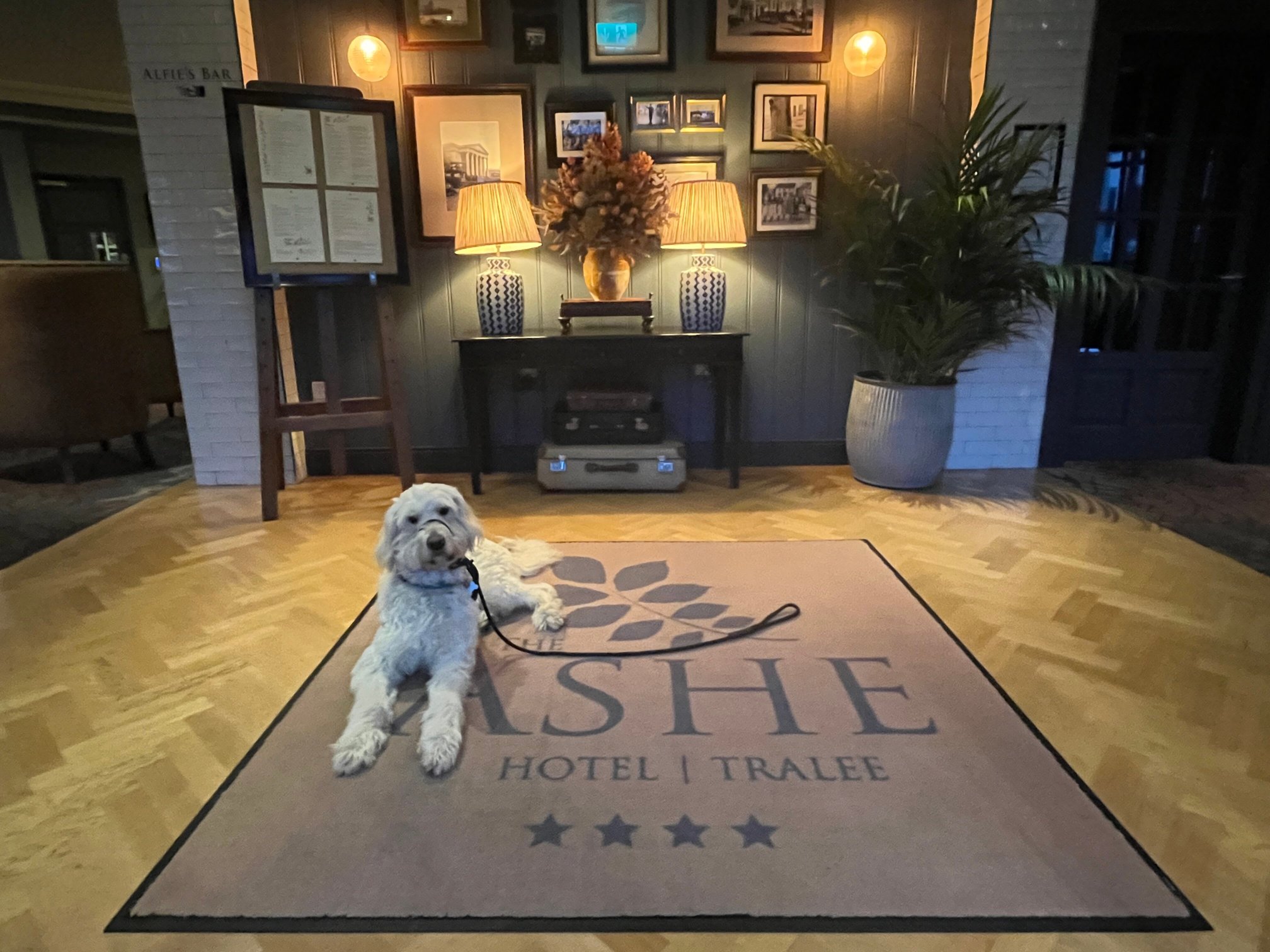 The Ashe Hotel-官方