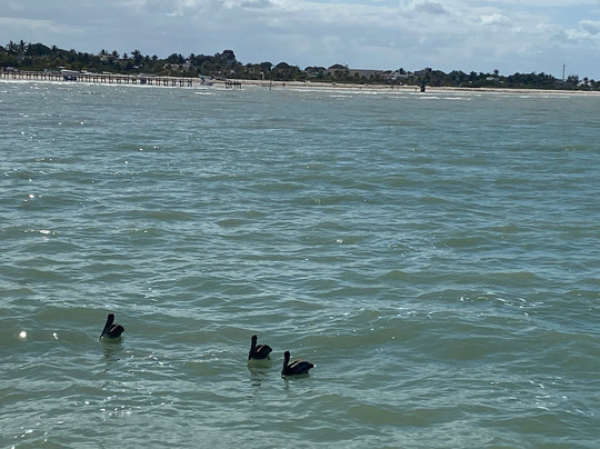 Playa Progreso-Progreso必去景点