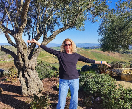 DAOU Vineyards-帕索罗布尔斯必去景点