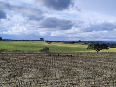 Adega Mayor-Campo Maior必去景点