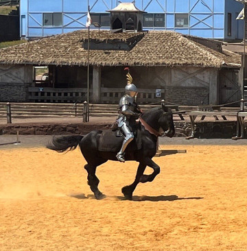 Kryal Castle-Leigh Creek必去景点