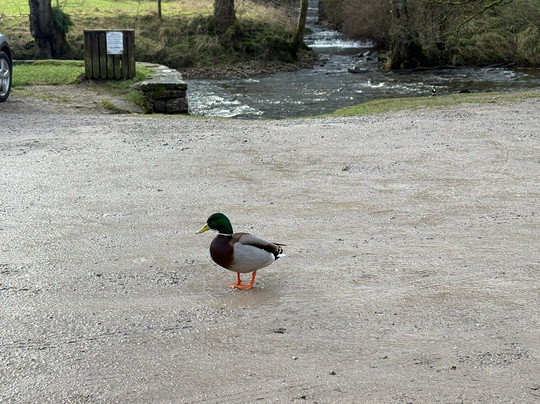 Manifold Station Cycle Hire & Café