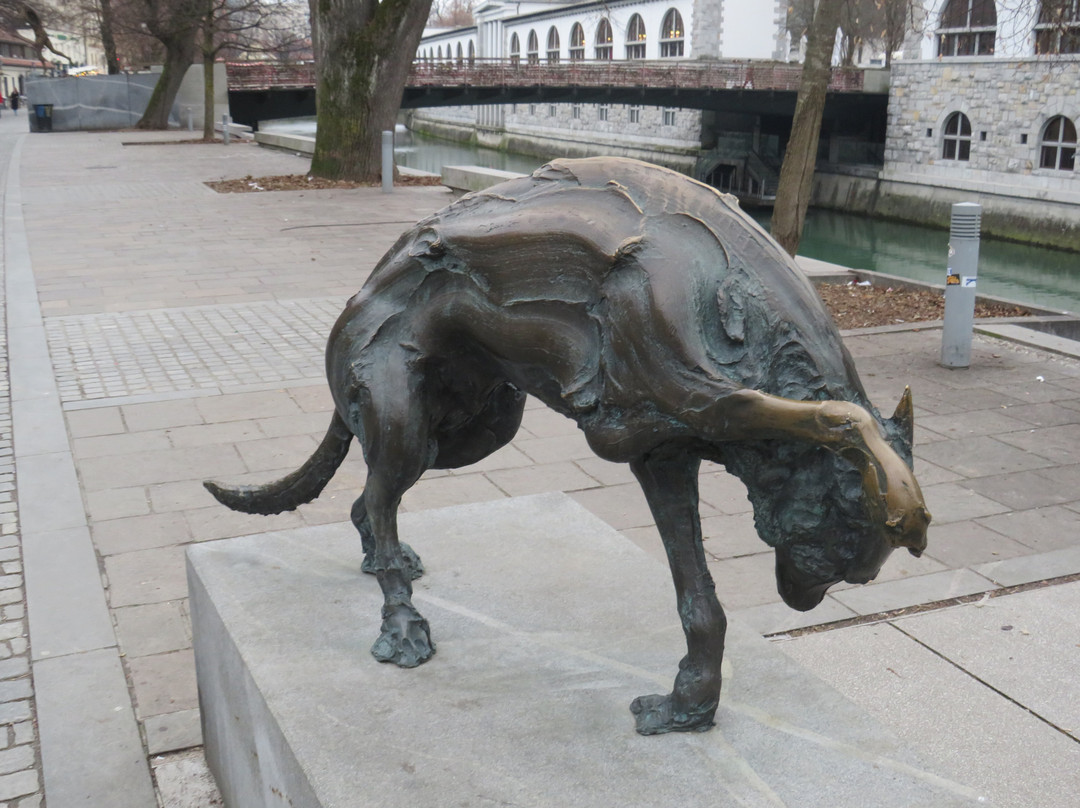 River Ljubljanica Kanal-卢布尔雅那必去景点
