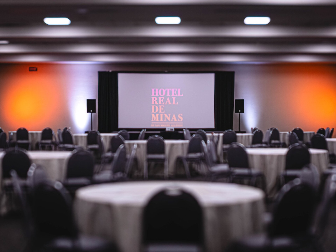 米纳斯皇家圣米格尔阿连德酒店主图