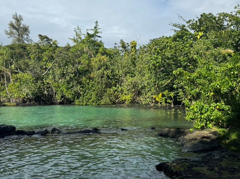 Carlsmith Beach Park-希洛必去景点