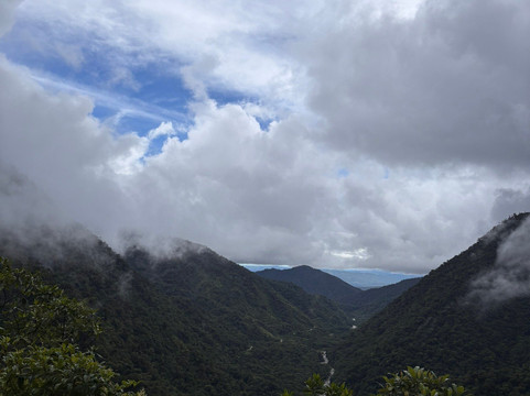 Peru Amazon Expeditions-Manu必去景点