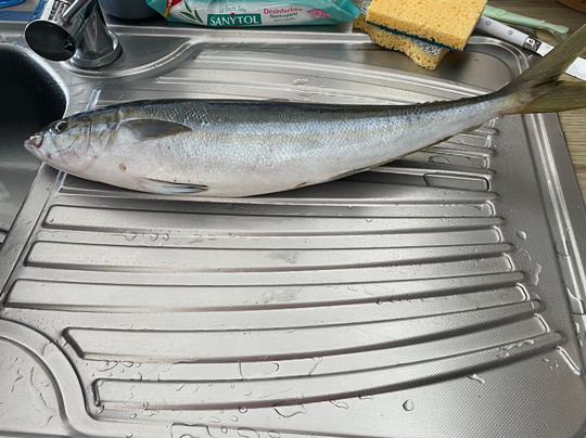 Carib Evasion-Case-Pilote必去景点