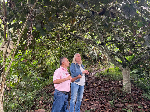 Brisas del Cauca-Risaralda必去景点