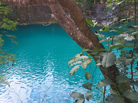 Cenote Sol y Luna.-从莫雷洛斯港必去景点