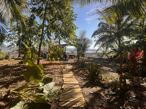 Howler Monkey Hotel主图