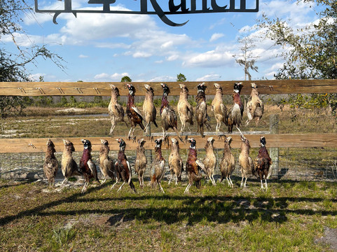 Central Florida Trophy Hunts-Cocoa必去景点