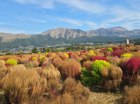 Explore Kumamoto-熊本县必去景点