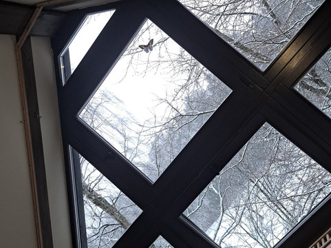 Kleines Vorwerk主图