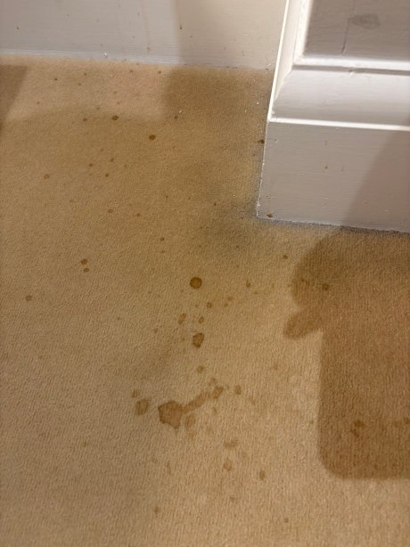 Rushton Hall Hotel And Spa-官方