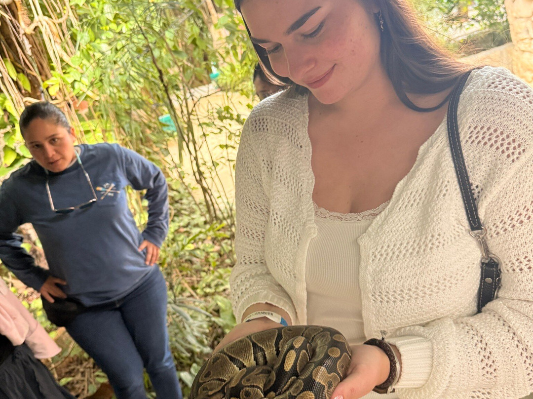 Croco Cun Zoo-从莫雷洛斯港必去景点