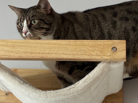 Andover Catfe-Andover必去景点