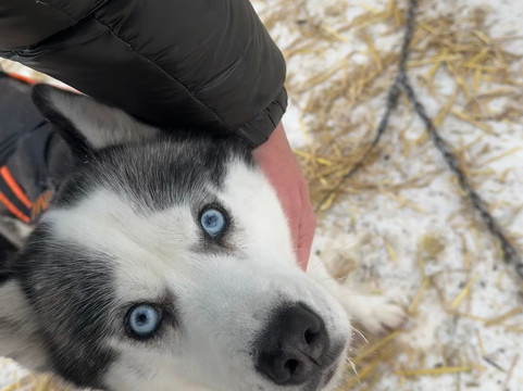 Red Fox Tours-里加必去景点