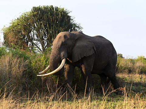 Pearl Nature Holidays-坎帕拉必去景点
