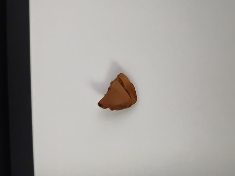 Chocolapagos Darwin's Favourites-阿约拉港必去景点