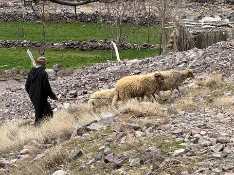 Yak Travel-卢顿必去景点